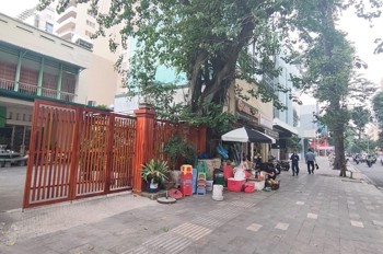 Siêu Phẩm Mt Mạc Đĩnh Chi – Q1, Khu Lõi Trung Tâm