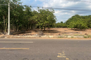 Bán Đất Mt Nhựa Xuân Hiệp-Tân Tiến, Xuân Lộc. Đồng Nai. Giá 3.25Ty. Lh 0984488048