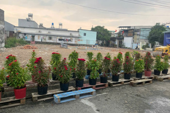 Chỉ 4 Nền Duy Nhất Nhựa Đông Thạnh Vị Trí Đẹp – Giá 3.75 Tỷ