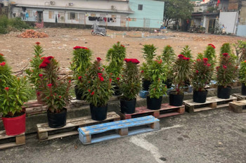 Hàng Fo Mới Ra Lò Đất 125M Mt Giá Chỉ 3.75 Tỷ – Quá Hiếm