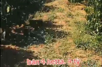 Đất Đẹp – Giá Tốt – Cần Bán Gấp Lô Đất Vị Trí Đẹptại – Ia Le – Huyện Chư Pưh – Tỉnh Gia Lai