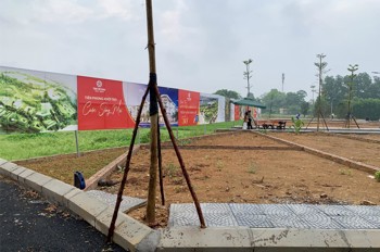 Chính Chủ Bán Gấp Lô Góc Sát Vách Dự Án Đất Đấu Giá Đồng Mô Lakeside