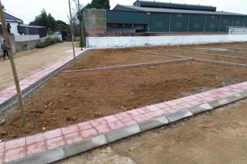 Duy Nhất Chỉ Còn 1 Lô Đất Phúc Lộc Hoà Lạc Giá Già 2 Tỷ