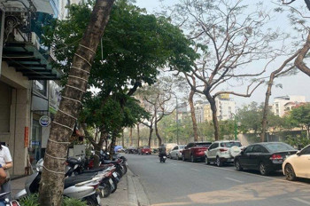 Cầu Giấy – Lô Đất 230M² Mặt Tiền 15M – Hàng Hiếm “Không Có Lần 2” – Giá Chạm Đáy Khu Vực