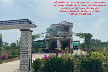 Siêu Phẩm Đầu Tư - Đất Vườn 1Ha - 2.000 Cây Mai - Lợi Nhuận Hấp Dẫn Xã Tân Thành, Thủ Thừa, Long An