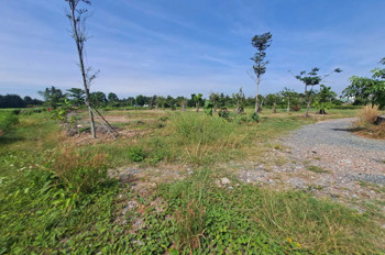 Chủ Ngộp Bán Gấp 2 Lô Đất Nhị Bình – Đường Xe Tải – Giá Cực Tốt