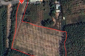 Đất Lớn An Nhơn Tây – 9.000M² – 4 Sổ Riêng – Chỉ 12 Tỷ Đón Són Vinhomes