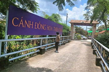 Siêu Phẩm Nhà Vườn Sinh Thái Phước Hiệp Củ Chi – 1Ha Đất – Giá Chỉ 35 Tỷ