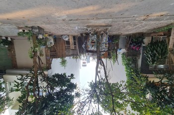 234M2 Khu Đấu Giá 31Ha, Trâu Quỳ, Gia Lâm. Mt 12M. Đường 15M. 3X Tiểu Học. Lh 0989894845