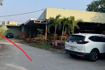 Hạ Sốc 700Tr – Kho 200M² - Đường 10M Nguyễn Văn Quá – Chỉ 6,5 Tỷ Siêu Phẩm Kho Xưởng