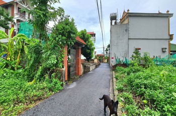 Bán Đất 60M2 Thuận An, Hà Nội, Mt 4M Ngõ Rộng Gần Trục Chính 0989894845