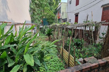 58M2 Thuận An Gia Lâm Mt 4M Ngõ Rộng Gần Trục Chính Chỉ 3 Tỷ 0989894845