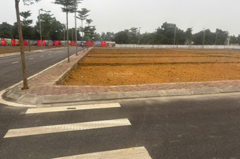 Phú Cát Trái Tim Đô Thị Hòa Lạc!