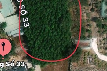 Đất Đẹp – Giá Tốt – Chính Chủ Cần Bán Gấp Đất Tại Xã Châu Pha, Thành Phố Phú Mỹ, Bà Rịa Vũng Tàu