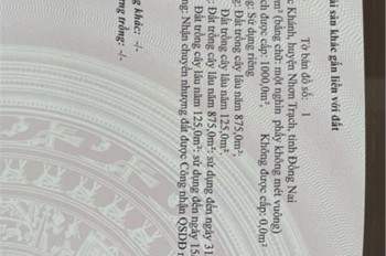 Đất Đẹp – Giá Tốt – Chính Chủ Cần Bán Gấp Đất Tại Xã Phước Khánh, Huyện Nhơn Trạch, Đồng Nai