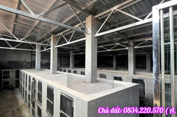 Bán Lỗ Hơn 1 Tỷ – Nhà Kho 1.073M² Gần Vành Đai 4 – Củ Chi – Giá 5,6 Tỷ (Tl)