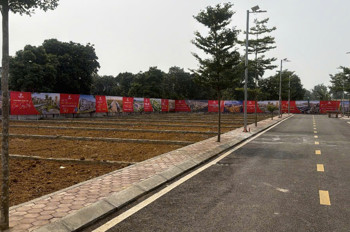 Duy Nhất Đất Nền 2 Mặt Đường Kinh Doanh Cổ Đông- Hòa Lạc- Rộng 5.2M X Dài 19.5M Giá Hơn 3 Tỷ. Diện