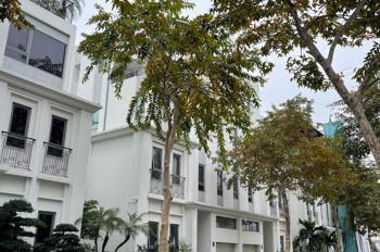 Siêu Phẩm Biệt Thự The Manor Central Park - Vip Đỉnh - Thang Máy - Ở Sướng - Vị Trí Đắc Địa!