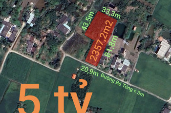 Bán Lô Đất Lúa Xã Tân Trụ Giá 5 Tỷ