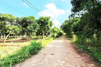 Chỉ 890 Triệu 121Mv Đất Thổ Cư, Sổ Riêng Ngay Ngã 3 Ông Phúc, Bảo Vinh, Đn