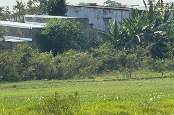 Bán Đất Đẹp – View Cánh Đồng Quan Châu, Hòa Xuân – Đà Nẵng