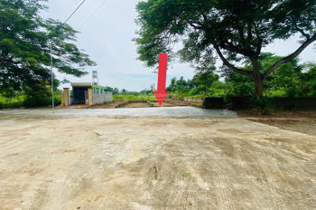 Bán 60M2 Tái Định Cư Linh Sơn Trục Chính Rộng 20M Ngay Đhqg,Công Nghệ Cao Hòa Lạc Giá Nhỉnh 3,6