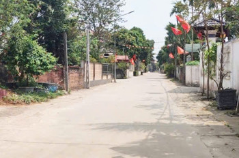 Chính Chủ Cần Bán Thửa Đất 103M Hòa Lạc Giá Cắt Lỗ Sâu 0812095976