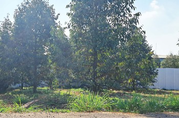 5X26 Mt Nhựa Lớn Ngay Dt770b Và Kdc Xuân Tân, Tp Long Khánh. Đn