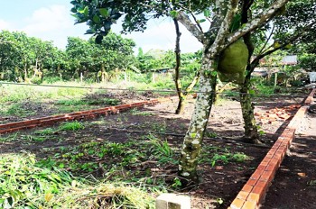 121M2 Ngay Dốc Đồn, P Bảo Vinh, Long Khánh, Đn. Giá Chỉ 890Tr