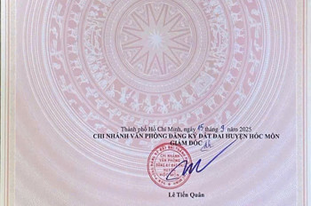 Đất Sát Chợ Đầu Mối Nguyễn Thị Sóc Hẻm Nhựa 8M – 183,5M² Full Thổ – Chỉ 7,9T