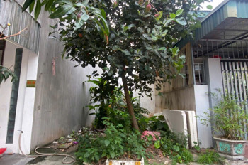 Chính Chủ Bán Lo Đất Tái Định Cư Vũ Phúc- Thái Bình Gần Trường Mầm Non