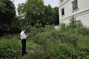 Văn Bình Thường Tín Ngõ Thông Tứ Phía Giá Đầu Tư Chỉ Hơn 4 Tỷ