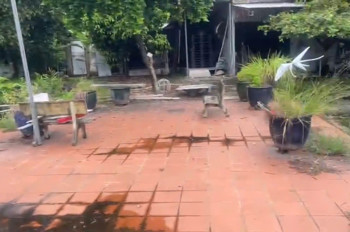 Bán Đất + Biệt Thự Gần 4000M², Nhị Bình, Đông Thạnh), Hóc Môn 25 Tỷ!