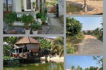 Bán Gấp Nhà Vườn Tân Văn Lâm Hà Lâm Đồng Hai Mặt Tiền Đường Otô Tránh Nhau