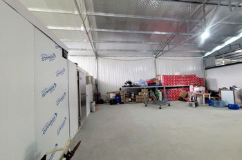 Tứ Liên – Không Còn Là Kỳ Vọng, Mà Là Hiện Thực – 305M2 Đất Vàng Giữ Dòng Tiền