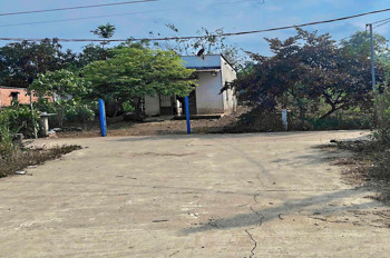 Cạnh Đường Nhựa Xuân Lộc – Long Khánh. Tcsr. Giá Ngộp Chỉ 490Tr