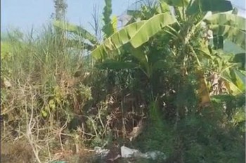 Chỉ 10 Triệu/ M2, Sở Hữu Ngay Đất Thổ Cư Sổ Hồng Riêng 96M2 Đường Nhựa, Kdc Đường 853, Tân Phú