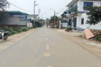 Chính Chủ Bán Lô Góc View Hồ Thoáng Mát Tại Hòa Lạc - Tiềm Năng Sinh Lời Cao