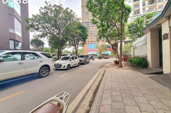Biệt Thự Dịch Vọng - Cầu Giấy - Biệt Thự Đơn Lập Siêu Vip - Có Hầm - Thang Máy - View Chung Cư 