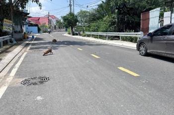 [Miếng Đất Đẹp] Mặt Tiền Tỉnh Lộ 15 Củ Chi – 1.800M2 (25M X 72M)