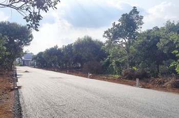 Đất Nền Mt Đường Nhựa, Chỉ 380Tr! Ngay Chợ Và Kcn Long Khánh. Đồng Nai