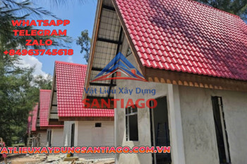 Cách Phòng Chống Nấm Mốc Trên Mái Ngói Nhựa