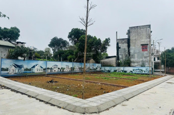 Bán Đất Thổ Cư Sổ Đỏ 100M² Tại Phú Cát, Quốc Oai, Hà Nội. Giá 3.5 Tỷ. Lh: 0983061599