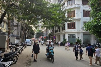 Biệt Thự Lô Góc Nguyễn Tuân - Thanh Xuân - Phân Lô Vỉa Hè - Có Thang Máy - Kinh Doanh & Ở Đẳng