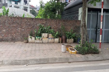 Bán Đất Đấu Giá Xã Thuận An, Hà Nội. Lô Góc 115M2 Đường 12M Vỉa Hè. Lh 0989894845