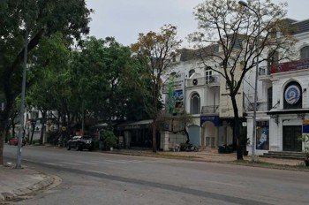 Biệt Thự Sài Đồng 110M2 – Tâm Điểm Sống Xanh – Kề Cận Vinhomes Riverside