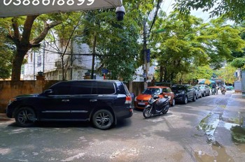 Lô Góc Nguyễn Văn Huyên - Ô Tô Tránh - Ngõ Thông - 8 Tầng Tm - Kinh Doanh
