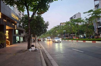 Bán Nhà Mặt Phố Cổ Linh 90M2- 4 Tầng- Kinh Doanh Đỉnh- Hơn 30 Tỷ