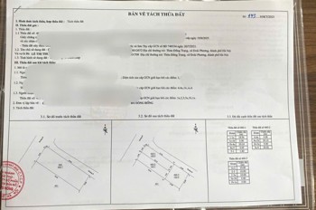 100M2 Trục Chính Kinh Doanh Đồng Trạng