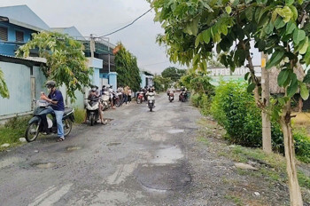 Siêu Phẩm Mt Đường 157 Bình Mỹ – Xe Container Vi Vu Quỹ Đất Lớn – Full Thổ